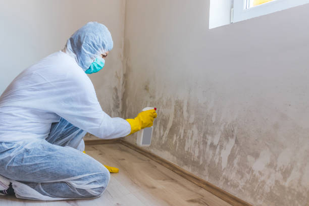 Hvac And Air Duct Mold Remediation inspection of HVAC system in Odenton